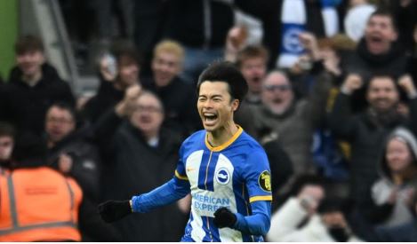 แมวมองปีศาจแดง